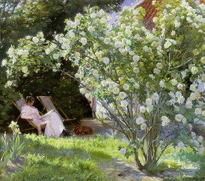 Rosas, ou a esposa de artistas no jardim em Skagen